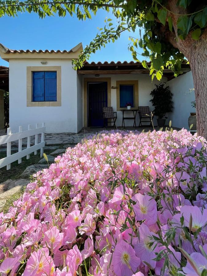 Vasilopoulos Estate Короні Екстер'єр фото
